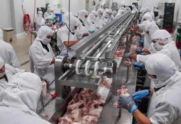 Dan positivo a COVID-19 cientos de trabajadores en empacadora de carne de Brasil