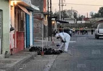 Encuentran 10 bolsas con cuerpos desmembrados en Irapuato, Guanajuato