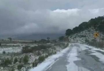 Por granizo, se observan paisajes blancos en Galeana y Aramberri, Nuevo León