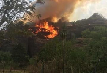 Intenta hacer malabares con fuego para TikTok y ocasiona incendio forestal