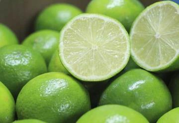 Conoce el truco para mantener tus limones frescos y en buen estado ¡por 3 meses!