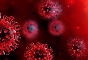 Casi trescientos casos más de Coronavirus en Tabasco