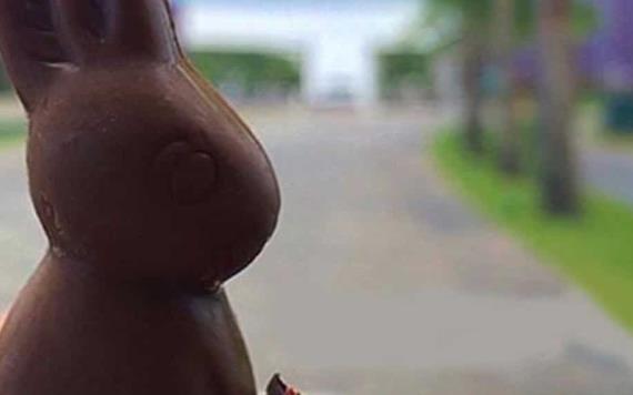Conoce el significado de los conejitos de chocolate