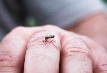 Por estas razones los mosquitos pican más a algunas personas