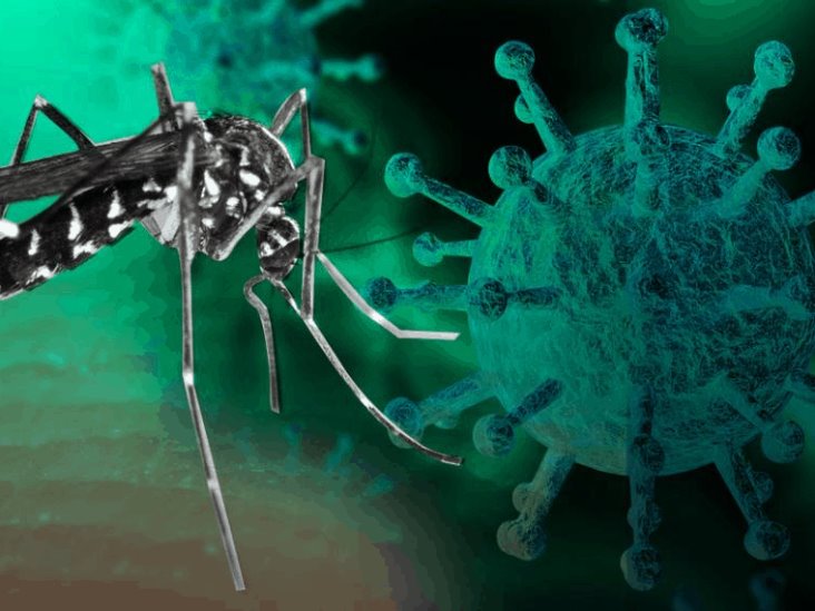 Así Puedes Diferenciar Los Síntomas De Covid 19 Y Del Dengue