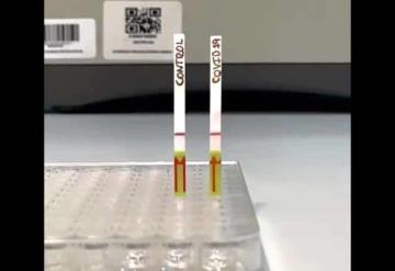 Crean prueba para detectar covid-19 en 40 minutos