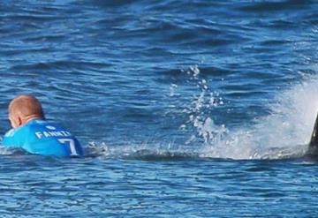 Vídeo: Un Tiburón blanco asecha Surfistas