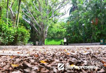 En completa soledad se encuentra el Parque Museo La Venta