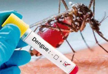 Tabasco, primer lugar a nivel nacional en defunciones por dengue