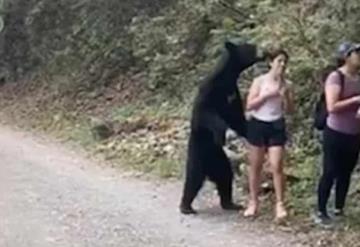 Oso negro sorprende a turistas, aprovechan para tomarse una selfie