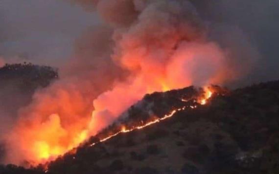 Incendios forestales se redujeron hasta 25% en temporada 2020