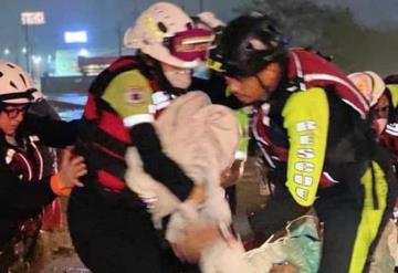 Mujer da a luz en medio de las inundaciones por la tormenta Hanna