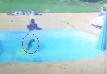 Niño de tres años salva a su amigo de morir ahogado al caerse en alberca