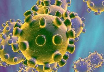 Detectan  mutación del coronavirus 10 veces más infecciosa