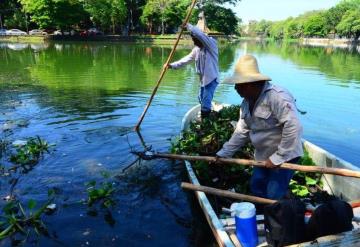 Aparecen cientos de peces muertos en Vaso Cencali