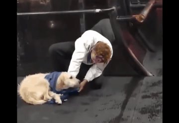 Video: Sujeto se quita su chaleco para abrigar a perrito callejero