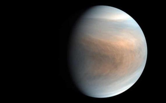 Hallan posible indicio de vida en Venus