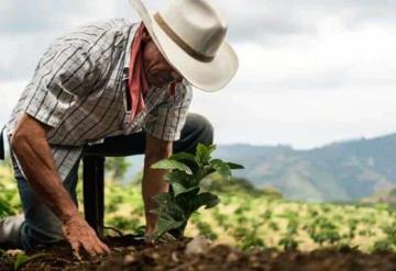 Sembrando Vida beneficia a 421,750 trabajadores