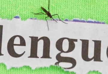 Tabasco ocupa el quinto lugar nacional en Dengue