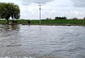 Sube caudal del río Palizada, atención  y vigilante se mantienen en la demarcación