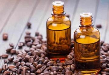 Conoce los increíbles beneficios del aceite de café