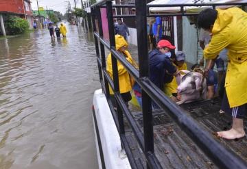 Debido a lluvias del Frente Frío 4, Peñitas aumentará extracción de agua