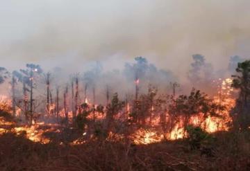 Declara Bolivia desastre nacional por fuertes incendios forestales