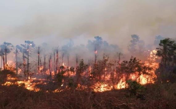 Declara Bolivia desastre nacional por fuertes incendios forestales