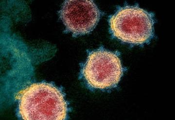 Científicos estudian posible mutación del coronavirus