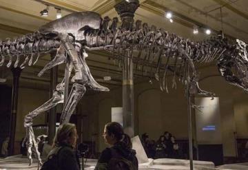 Hallan en Canadá restos de feto de T-rex