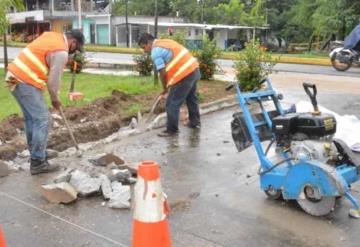 Inician trabajos de construcción de parada y paso peatonal en la DAMJM