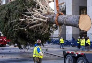 Llega árbol de Navidad del Rockefeller Center