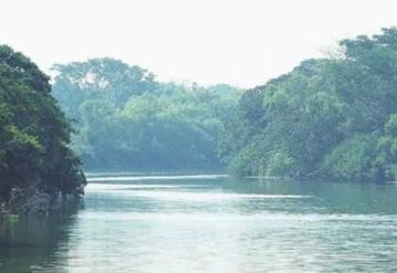 Río palizada rebasa su escala crítica