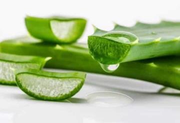 Prueba este tratamiento natural de aloe vera y luce unas pestañas largas y gruesas