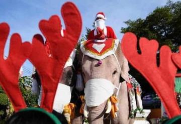 Santa Claus regala cubrebocas montado en elefante