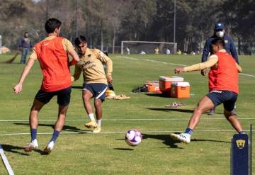 Se prepara Pumas Tabasco para la Liga Expansión MX