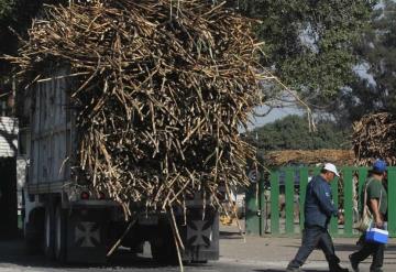 Pese a las contingencias, cañeros reportan un excelente año