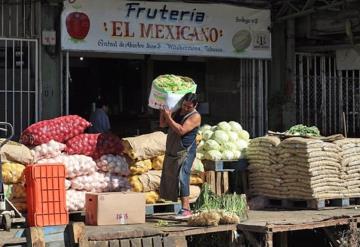 Esperan vender 600 toneladas de frutas