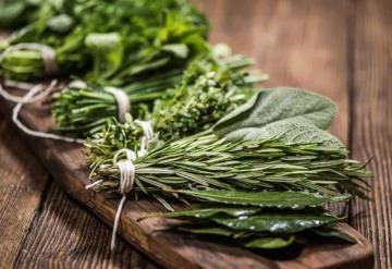 Hierbas aromáticas que son beneficiosas para tu salud