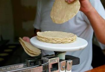 No aumentará kilo de tortilla 