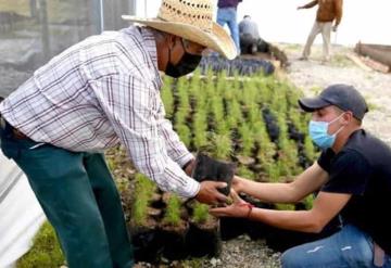 Sin irregularidades Sembrando Vida solventó las observaciones