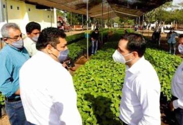 Javier May Rodríguez supervisa Programa de Sembrando Vida en Mérida