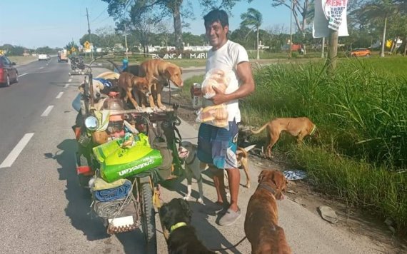 Viajero rescatador de perros