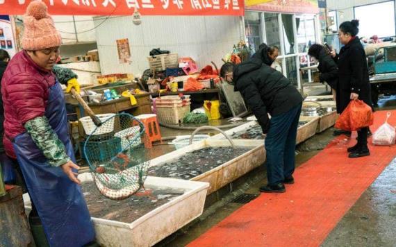 OMS visita mercado de Wuhan, donde hubo primer brote de coronavirus