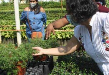 Gobierno de Comalcalco impulsará el sector agropecuario con la producción de 130 mil plantas