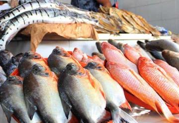 Comerciantes de pescados y mariscos esperan un repunte en ventas por la cuaresma