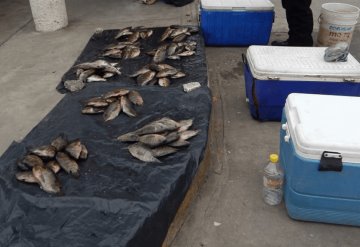 Por cuaresma, pescadores de Jonuta esperan repunte en ventas 