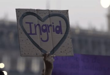 ¿Qué castiga la Ley Ingrid?