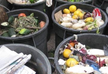 17% de toda la comida producida en 2019 terminó en la basura: ONU