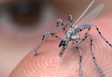 Científico desarrolla dron del tamaño de un insecto